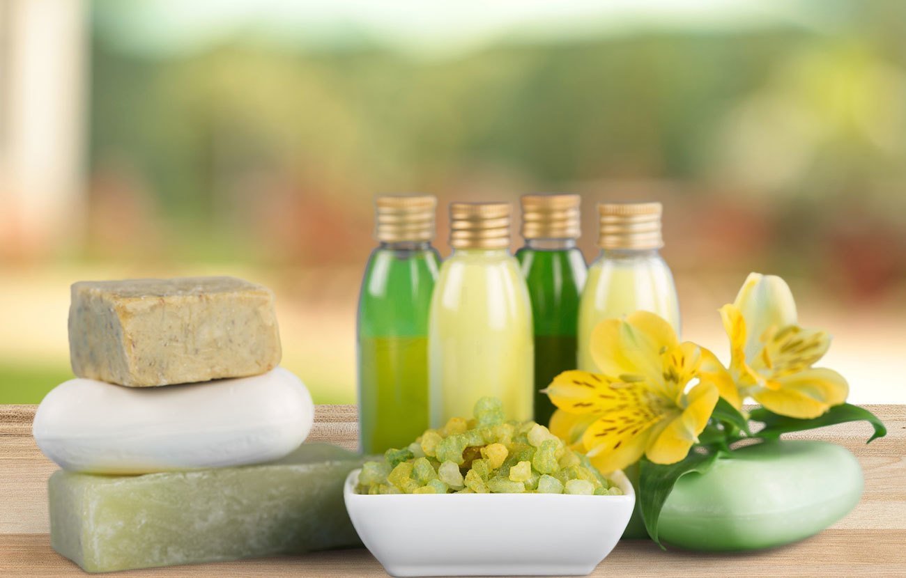 Neque vestibulum litora